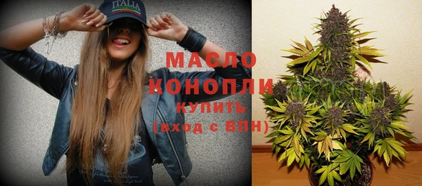 стаф Бородино