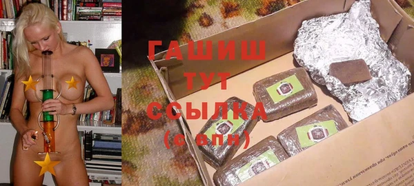стаф Бородино
