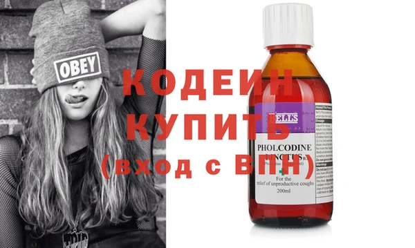 стаф Бородино