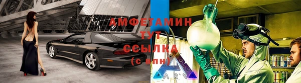 стаф Бородино
